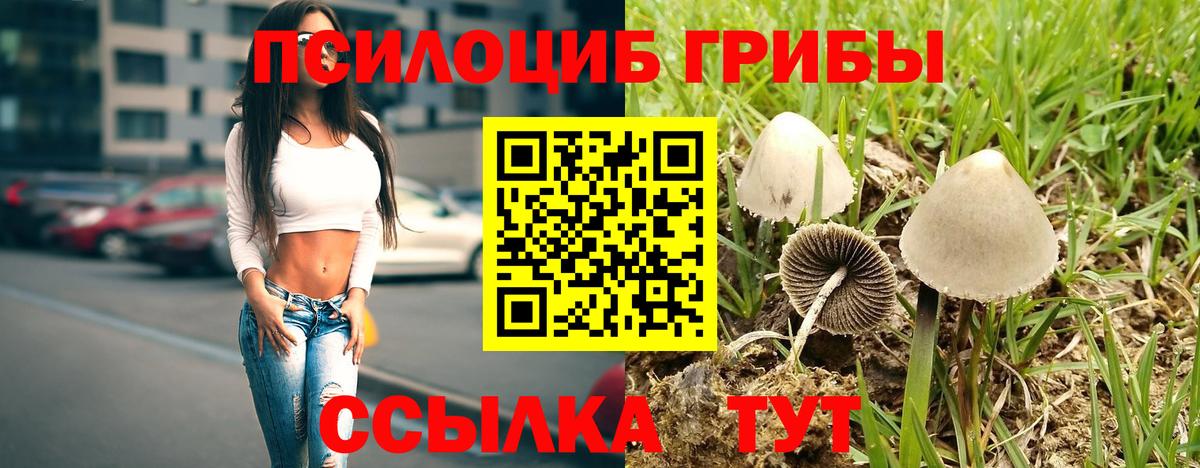 Псилоцибиновые грибы ЛСД Сосновоборск